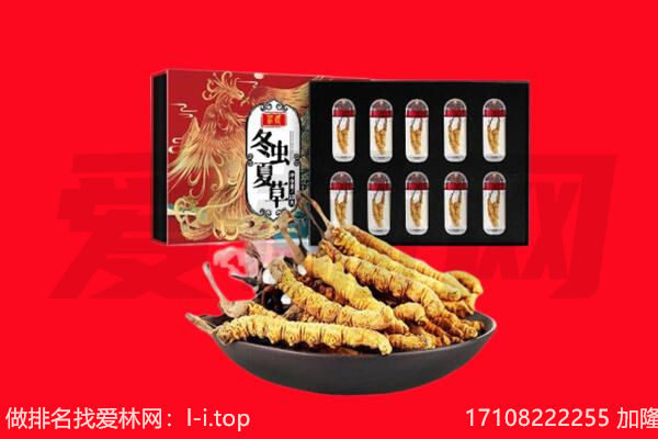 怀化靖州县回收虫草.jpg